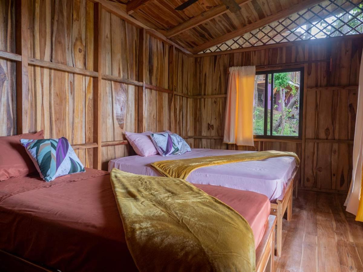 Finca Colibri Ecolodges En Pleine Nature Ferry Playa Najanjo Costa Rica Cabo Blanco Kültér fotó