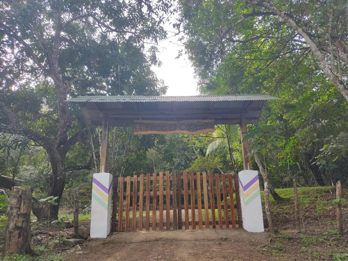 Finca Colibri Ecolodges En Pleine Nature Ferry Playa Najanjo Costa Rica Cabo Blanco Kültér fotó