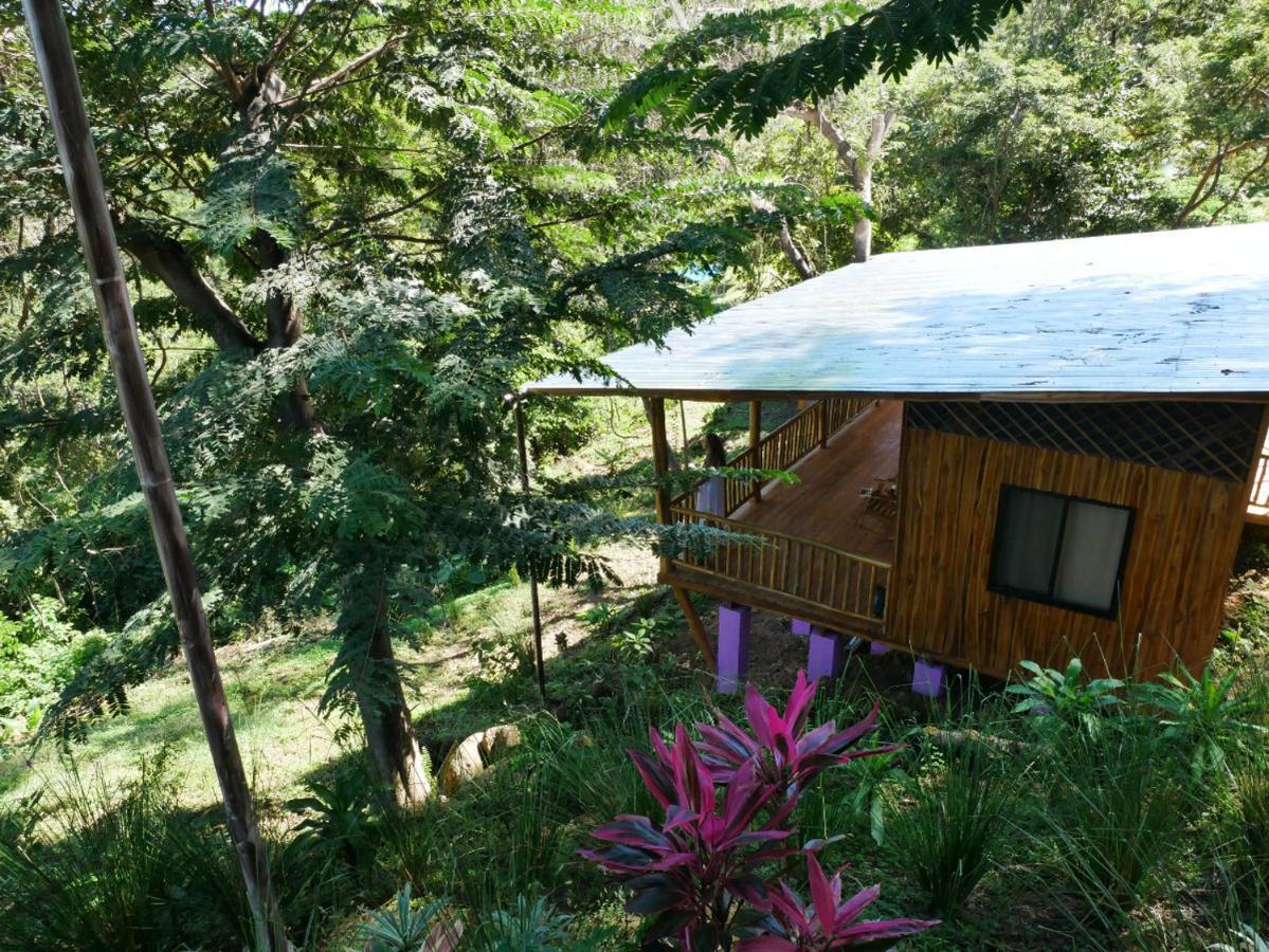 Finca Colibri Ecolodges En Pleine Nature Ferry Playa Najanjo Costa Rica Cabo Blanco Kültér fotó