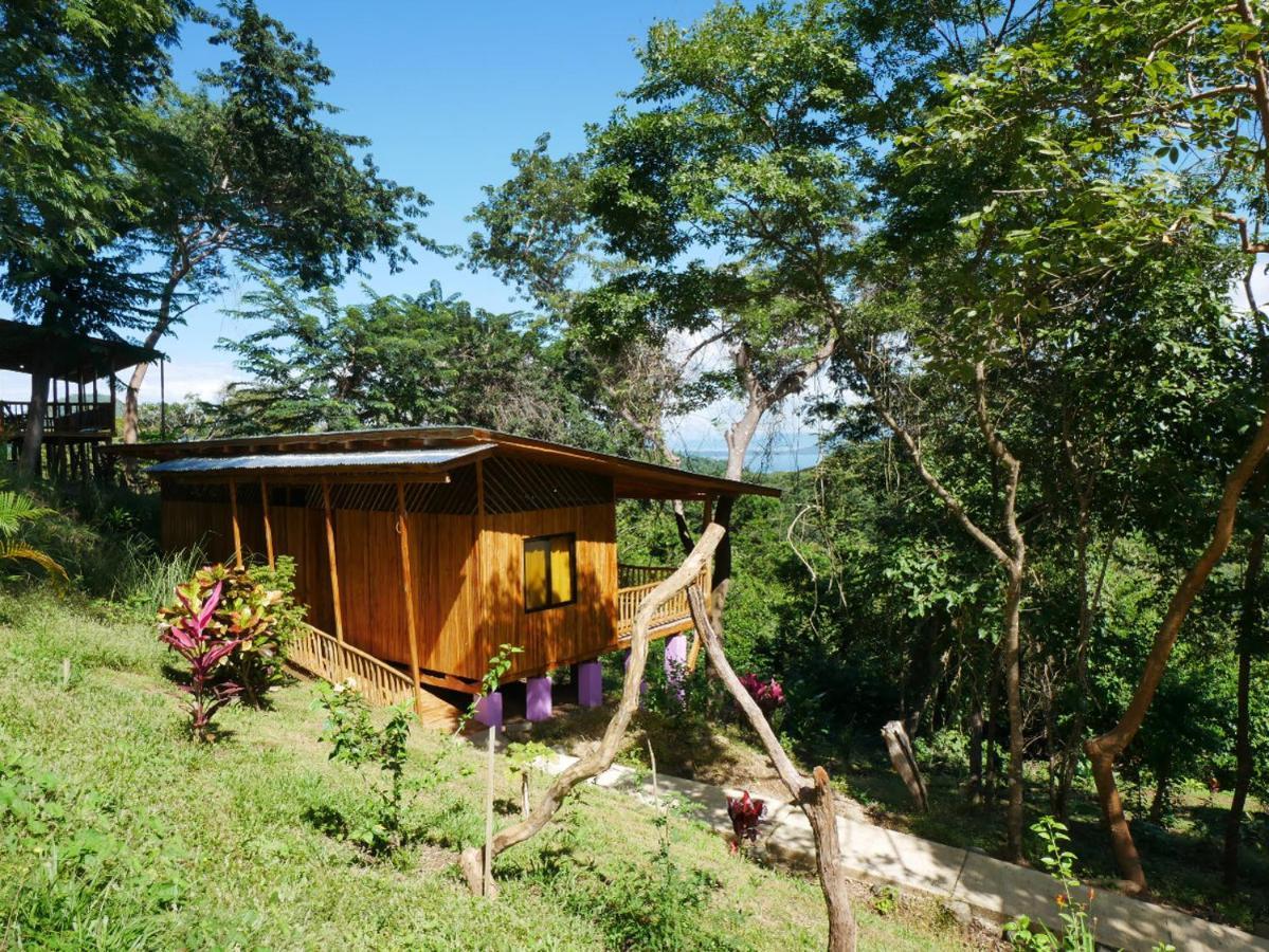 Finca Colibri Ecolodges En Pleine Nature Ferry Playa Najanjo Costa Rica Cabo Blanco Kültér fotó