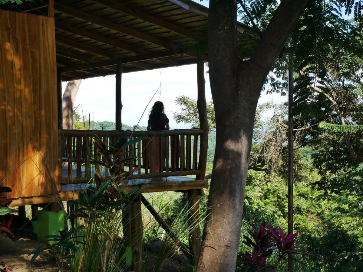 Finca Colibri Ecolodges En Pleine Nature Ferry Playa Najanjo Costa Rica Cabo Blanco Kültér fotó