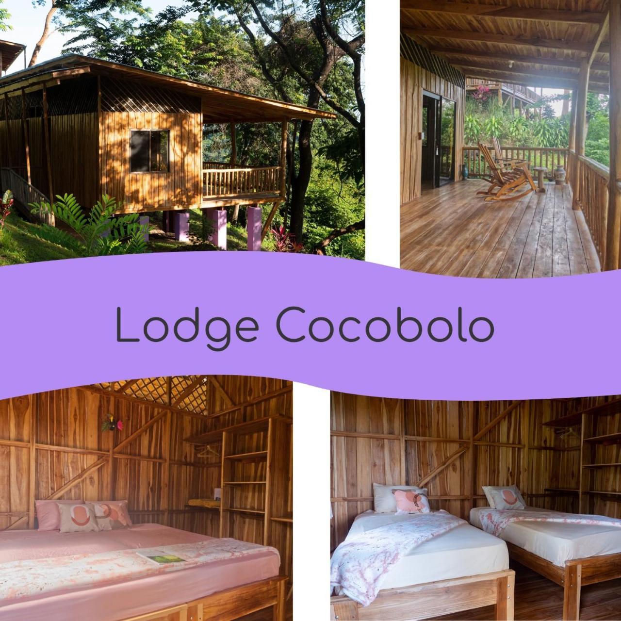 Finca Colibri Ecolodges En Pleine Nature Ferry Playa Najanjo Costa Rica Cabo Blanco Kültér fotó