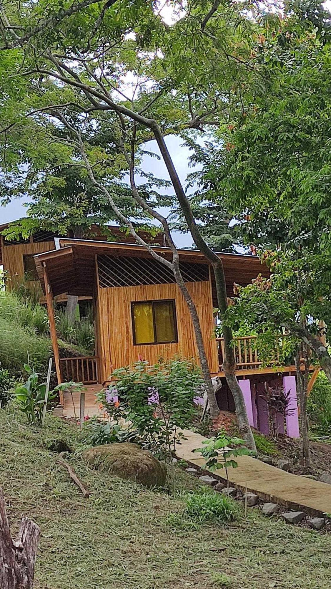 Finca Colibri Ecolodges En Pleine Nature Ferry Playa Najanjo Costa Rica Cabo Blanco Kültér fotó