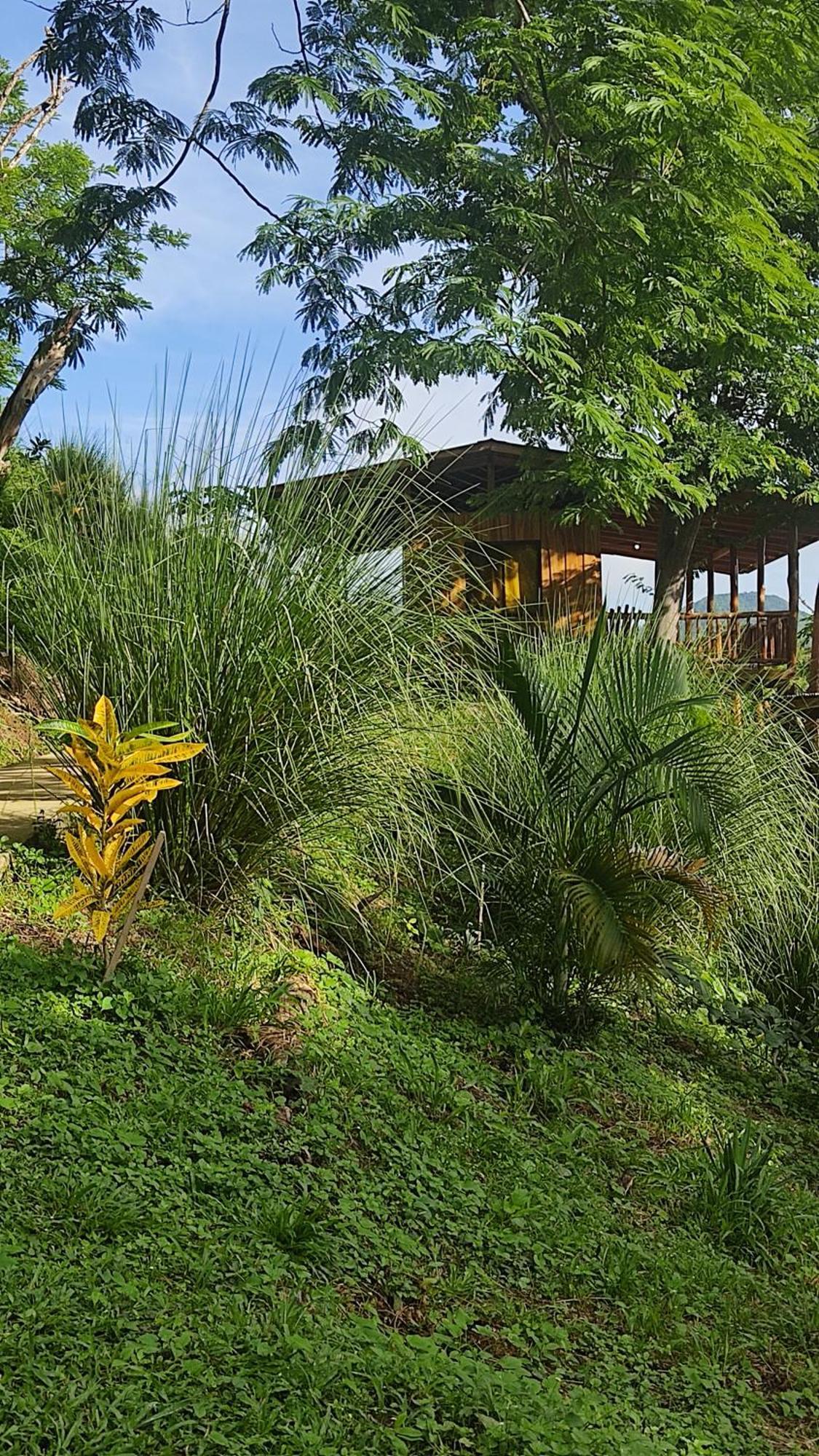 Finca Colibri Ecolodges En Pleine Nature Ferry Playa Najanjo Costa Rica Cabo Blanco Kültér fotó