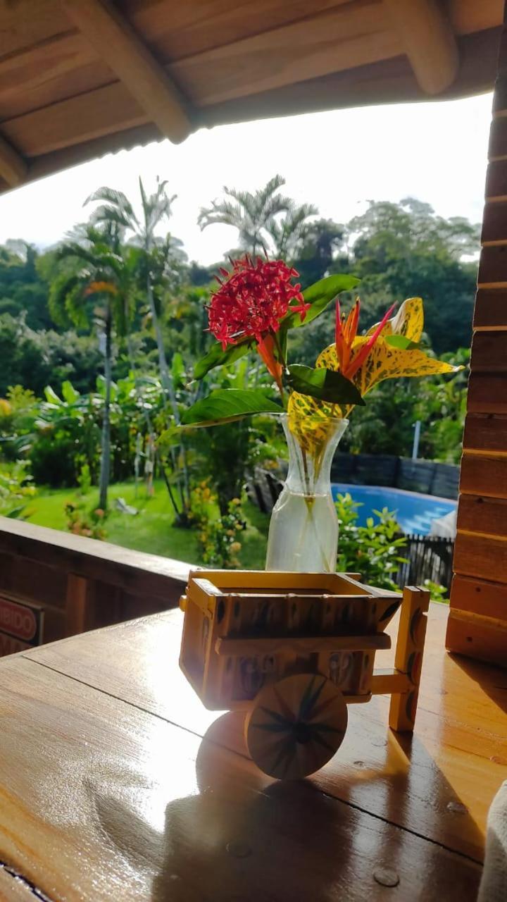 Finca Colibri Ecolodges En Pleine Nature Ferry Playa Najanjo Costa Rica Cabo Blanco Kültér fotó