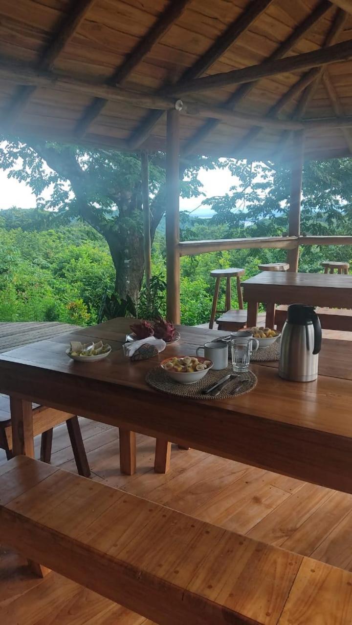 Finca Colibri Ecolodges En Pleine Nature Ferry Playa Najanjo Costa Rica Cabo Blanco Kültér fotó