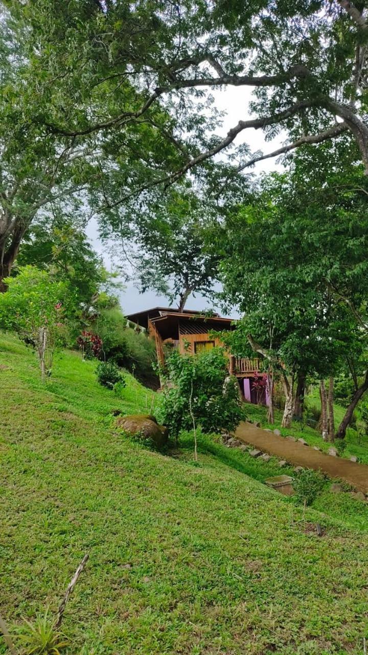 Finca Colibri Ecolodges En Pleine Nature Ferry Playa Najanjo Costa Rica Cabo Blanco Kültér fotó