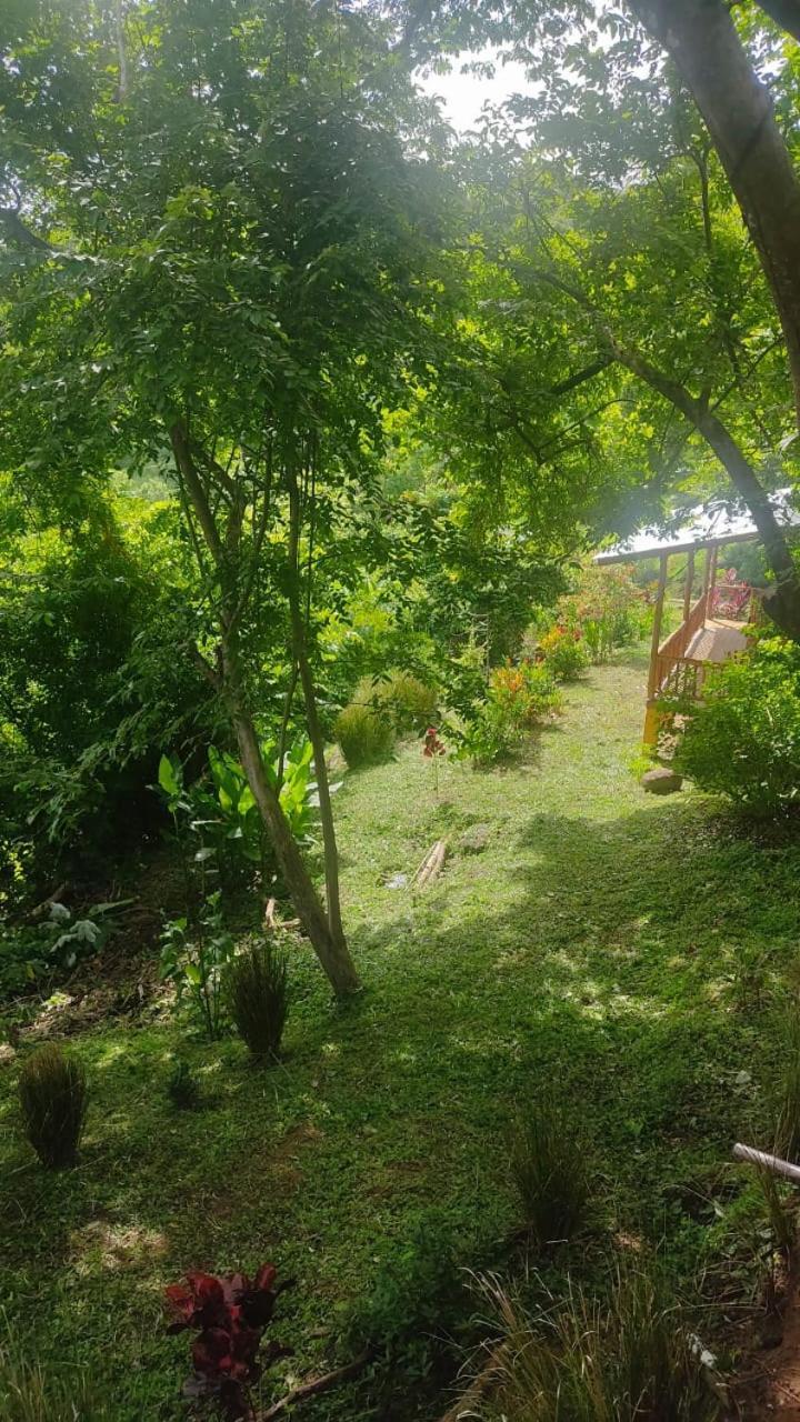 Finca Colibri Ecolodges En Pleine Nature Ferry Playa Najanjo Costa Rica Cabo Blanco Kültér fotó
